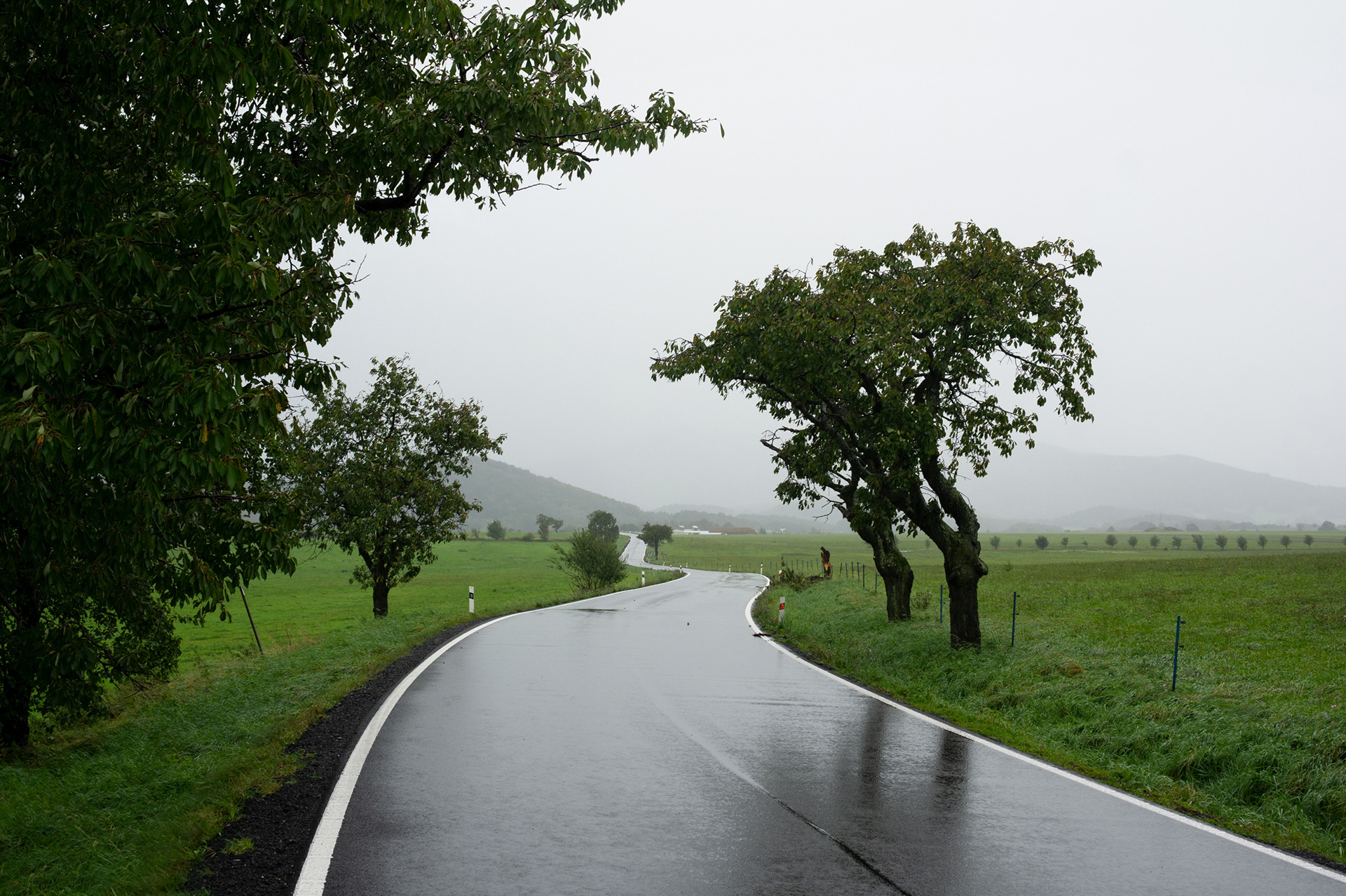 Melancholic rainy landscape of road during rain, Skorošice, Czech Republic